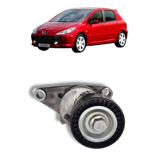Tensor Correia Alternador Peugeot 307 2008 A 2012 Original
